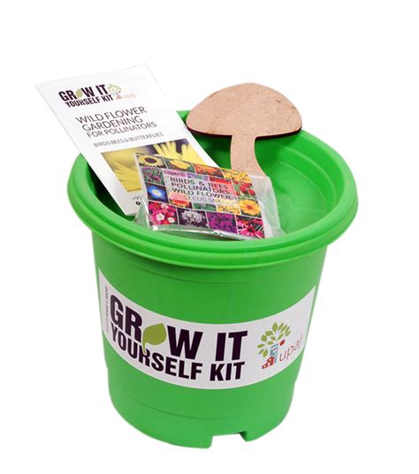 BIRDS & BEES POLLINATORS GIY KIT – Upaj Farm - Grow It Yourself Kits