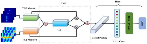 Lightweight Multi-Domain Fusion Model for Through-Wall Human Activity ...