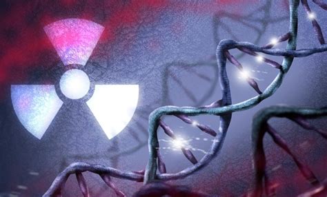 Image result for TypeScript React Folder Structure