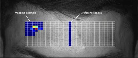 Image result for Reference Map Example