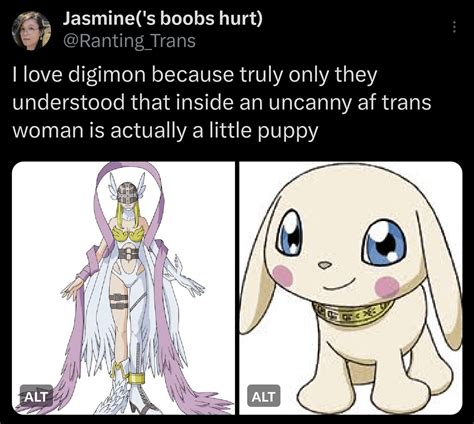 Digimon rule : r/196