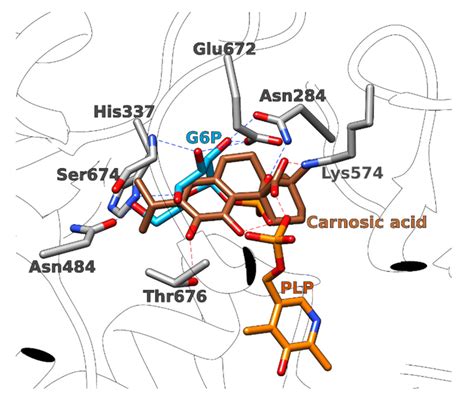 Mechanistic Insights into Biological Activities of Polyphenolic ...
