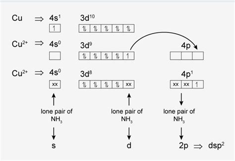 Explain the geometry of cu(nh3)6 2+