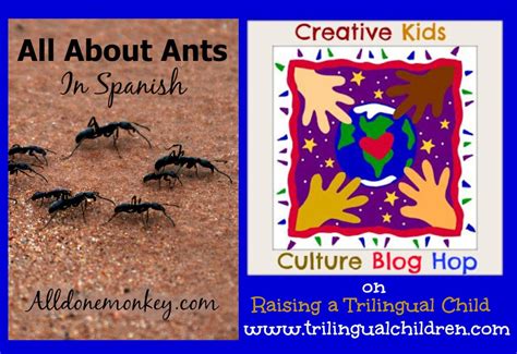 Ants In Spanish