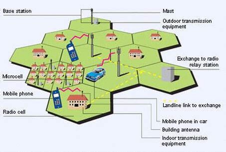 Image result for Cell Phone Structures Grade 7