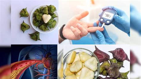 Paniphal Health Benefits: ডায়াবেটিসের মহাযম! হৃদরোগের মহৌষধ! ১৫ দিন ...