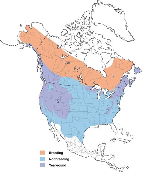 Image result for Beautiful Computer Map