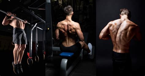 Image result for Back Muscles Exercises