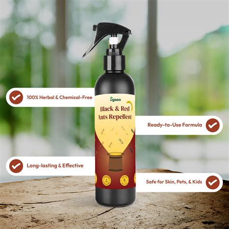 Buy An Effective Ant Killer Spray: Eliminate Ants with Ease – Ugaoo
