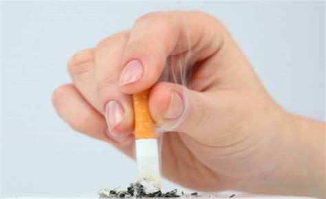 吸烟有害健康为什么还要生产？生产烟草的原因_资讯频道_东方养生