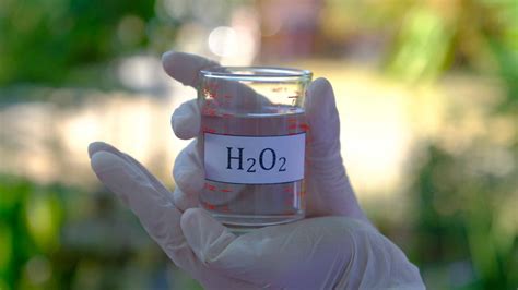 Hydrogen Peroxide vs. Bleach: Which is Better for Cleaning? | Airtasker US