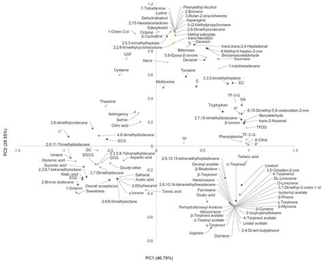 Multi-Metabolomics Coupled with Quantitative Descriptive Analysis ...
