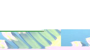 Image result for The Perfect Algorithm