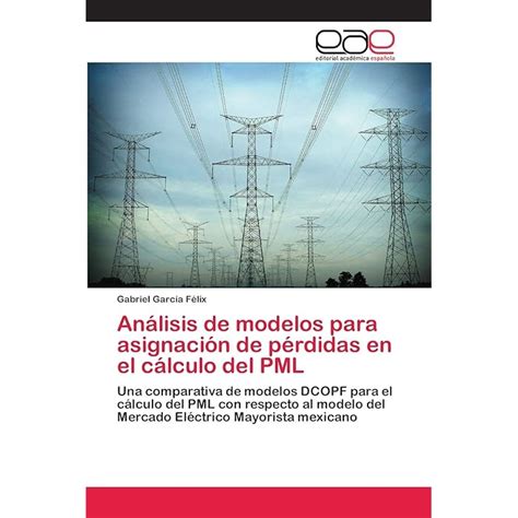 Buy Análisis de modelos para asignación de pérdidas en el cálculo del ...