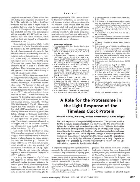 Image result for Timeless Protein