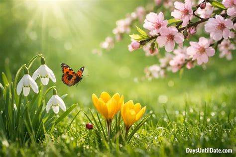 How Many Days Until Spring? (2026)