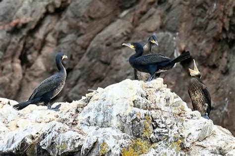 EcoVentures (Cromarty) - 2022 What to Know Before You Go (with Photos ...