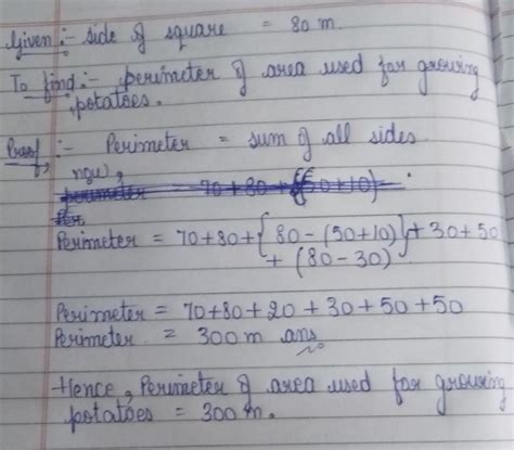 answer this question - Brainly.in