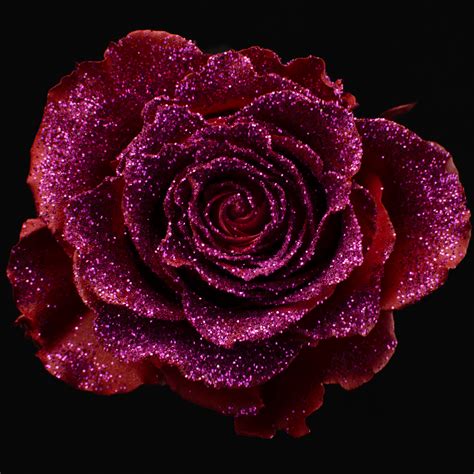 Red Glitter – Infinity Love Roses