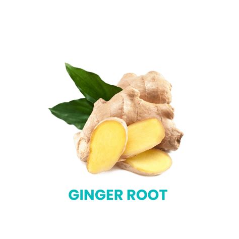 Mocha Black Tea – Tea Trunk