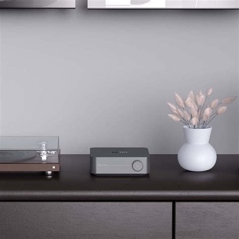 WiiM Amp / Amp Pro Versatile Streaming Amplifier