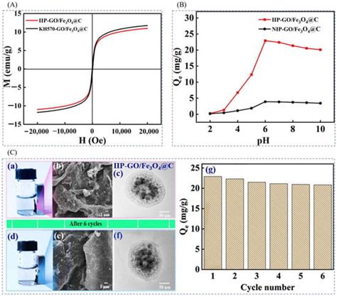 Progress and Prospect of Ion Imprinting Technology in Targeted ...