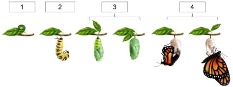 Image result for MySQL Queries Examples with Answers