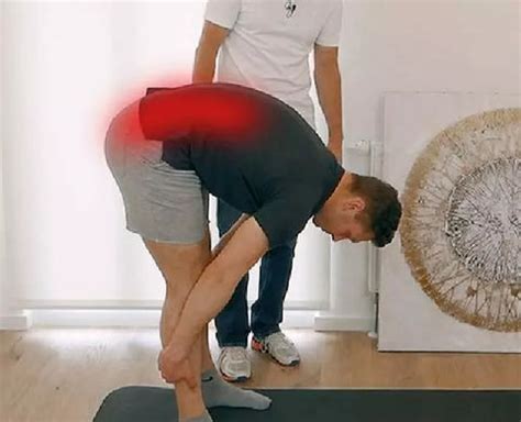 Image result for Back Cracker Roll Wheel