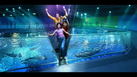 Newport Aquarium adding Shark Bridge | Newport aquarium, New shark ...