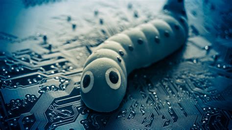 Computer Worms Definition 的图像结果