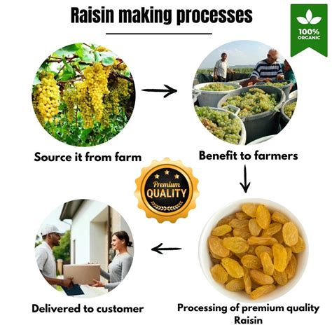 Introduction: What Are Raisins health benefits and How Are They Made?