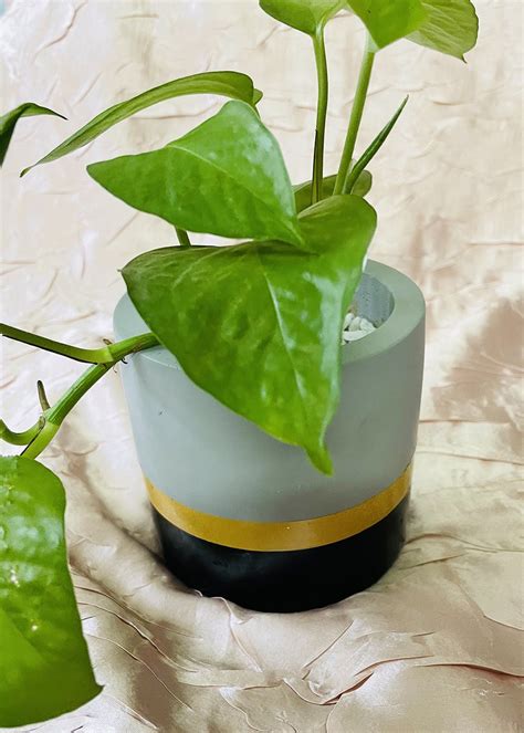 Get Three-tone Concrete Planter at ₹ 750 | LBB Shop