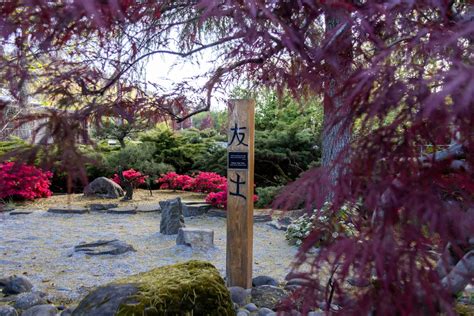 Thanks to volunteers, Gresham’s Japanese Garden is thriving on a small ...