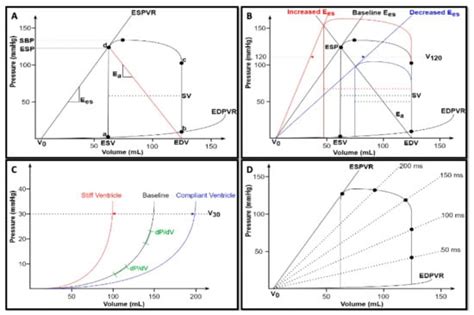 Looking Back, Going Forward: Understanding Cardiac Pathophysiology from ...