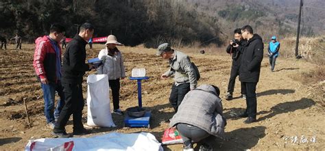 春耕生产权威指南_服务信息_中国政府网