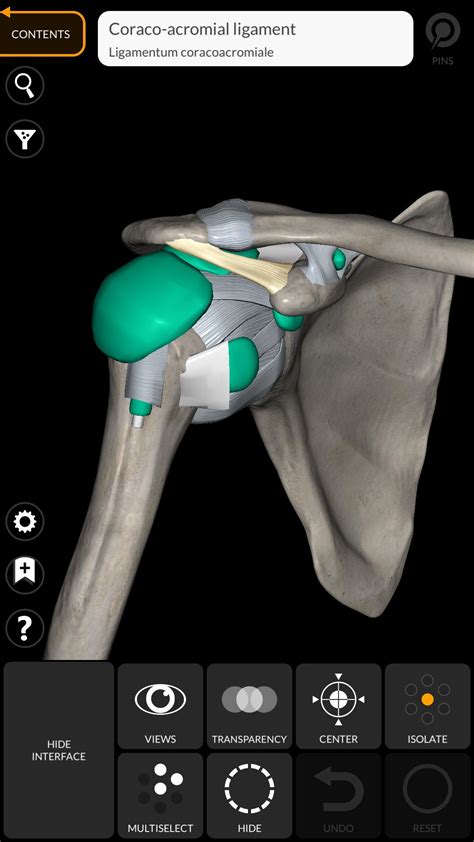 Anatomy 3D Atlas APK Download for Android - Latest Version