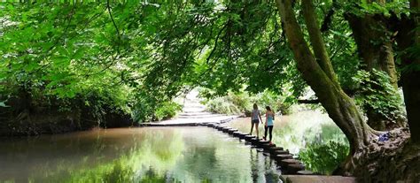 World Rivers Day Event, Stepping Stones, Dorking – River Mole, The ...