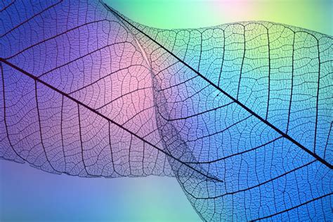 Image result for Transparent File