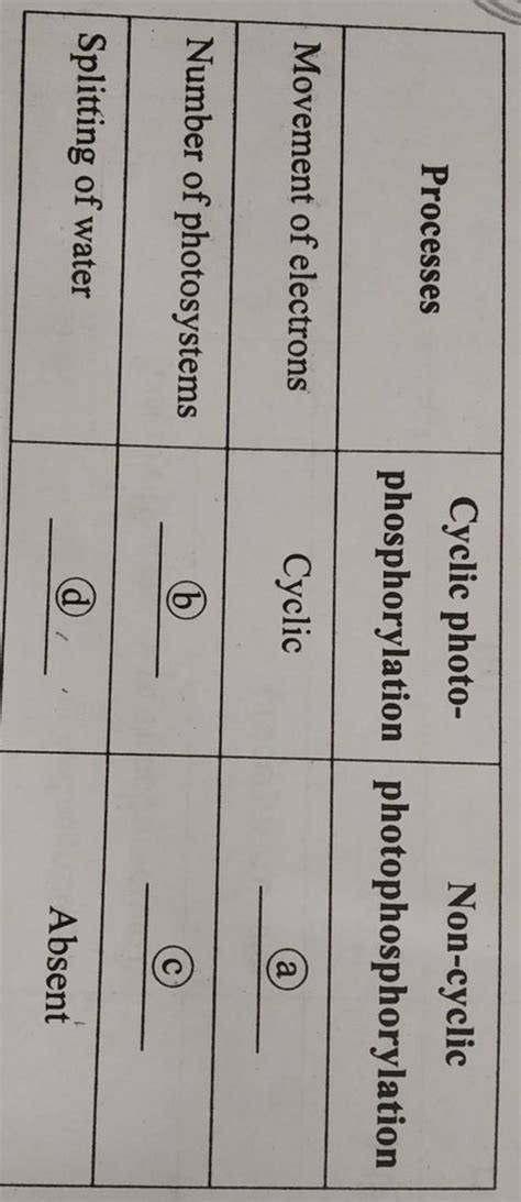 Analysis the table given below and fill in the blanks a,b,c,d. - Brainly.in