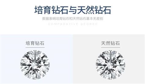 用高科技造钻石 在实验室中种出“真”钻石 |人造钻石|造钻石_新浪时尚_新浪网