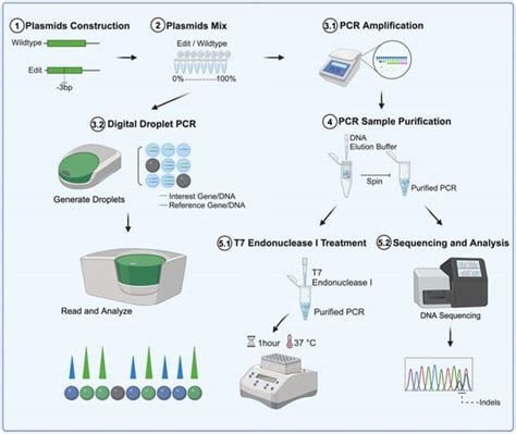 Methods and Protocols | An Open Access Journal from MDPI
