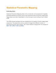 Statistical Parametric Mapping 的图像结果