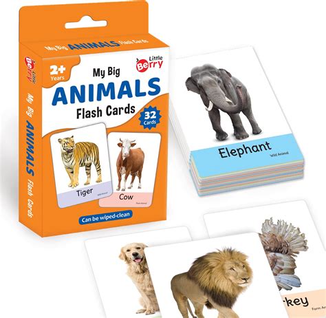 Buy Little Berry Big Flash Cards for Kids: Animals | 32 Double-Sided ...