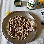 Divya Himalayan Plant-Based Liver Detox Supplement, 60 Tablets, Vegan ...