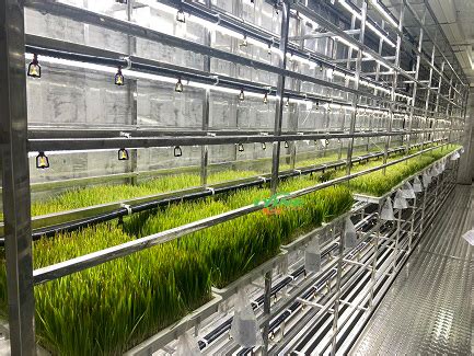 Image result for Containers for Fodder