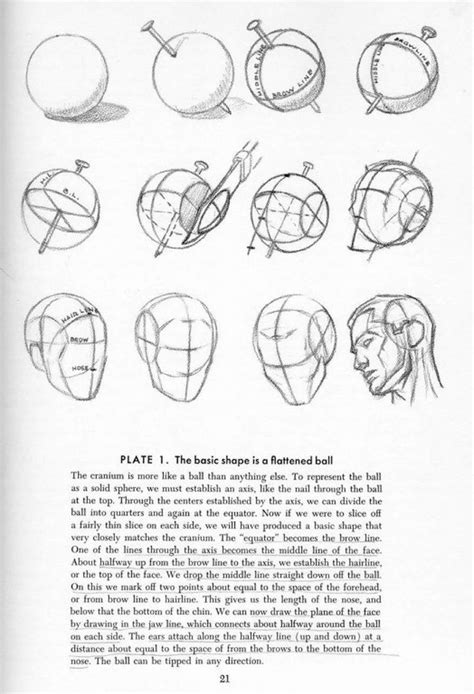Image result for Loomis Method of Drawing