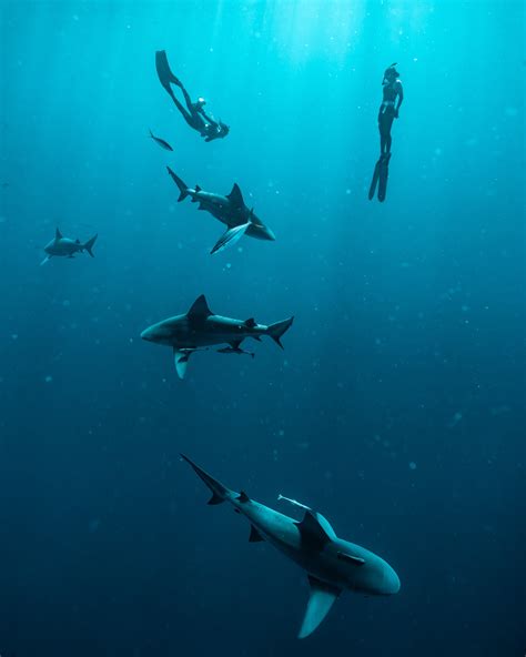 madi ruve (@madi.ruve) • Instagram photos and videos