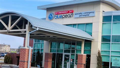24 Hour Emergency Vet | BluePearl Pet Hospital | Skokie, IL