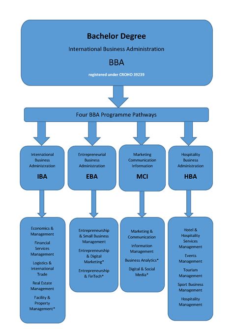 Bachelor | Undergraduate - the Bachelor of Business Administration - 4 Pathways