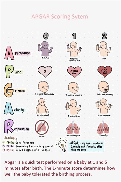 Image result for Apgar Practice Questions